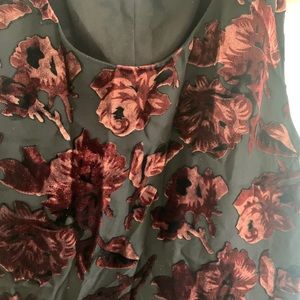 BB Dakota Velvet detail dress